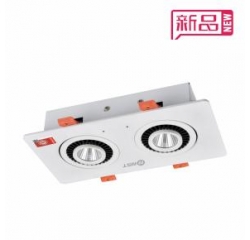 貓頭鷹集電集控射燈（嵌頂式）