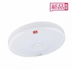 防火罩集電集控吸頂燈（紅外人體感應(yīng)）