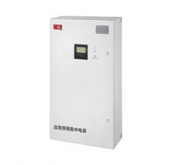 壁掛式DC216V應(yīng)急照明集中電源-NST集電集控