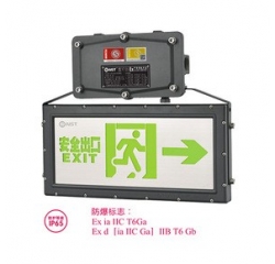 防水/防爆型集電集控標(biāo)志燈（雙面）