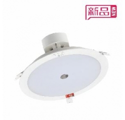 簡約現(xiàn)代一體化應(yīng)急筒燈